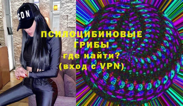 дмт Арсеньев