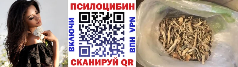Купить где  Велиж  Псилоцибиновые грибы мухоморы 